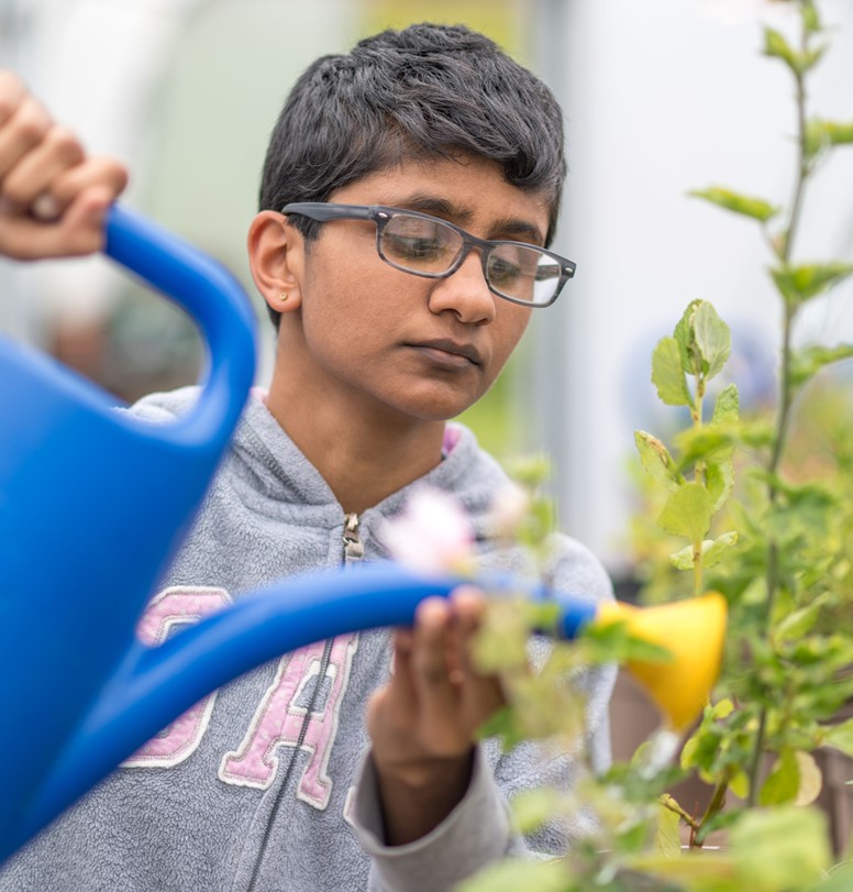 image for Sonali Shah (2022 - 2025)